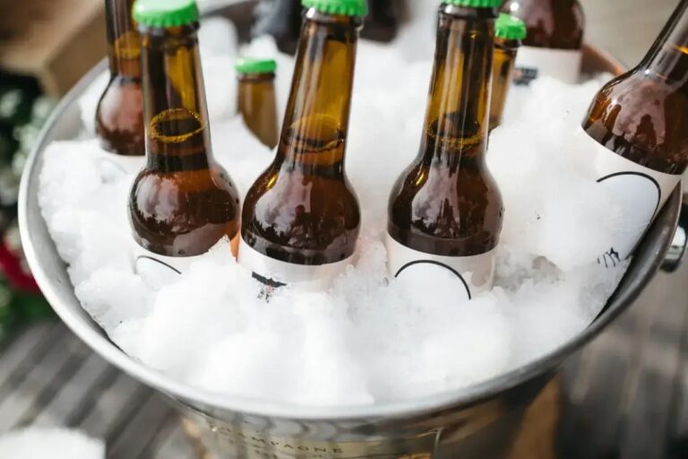 Dicas de Como Manter a Cerveja de Vidro Gelada no Verão